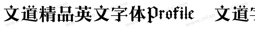 文道精品英文字体Profile   文道字库字体转换